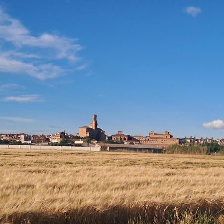 Apartamento Rural Isla Esencia De Bardenas Navarra Villafranca Eksteriør bilde