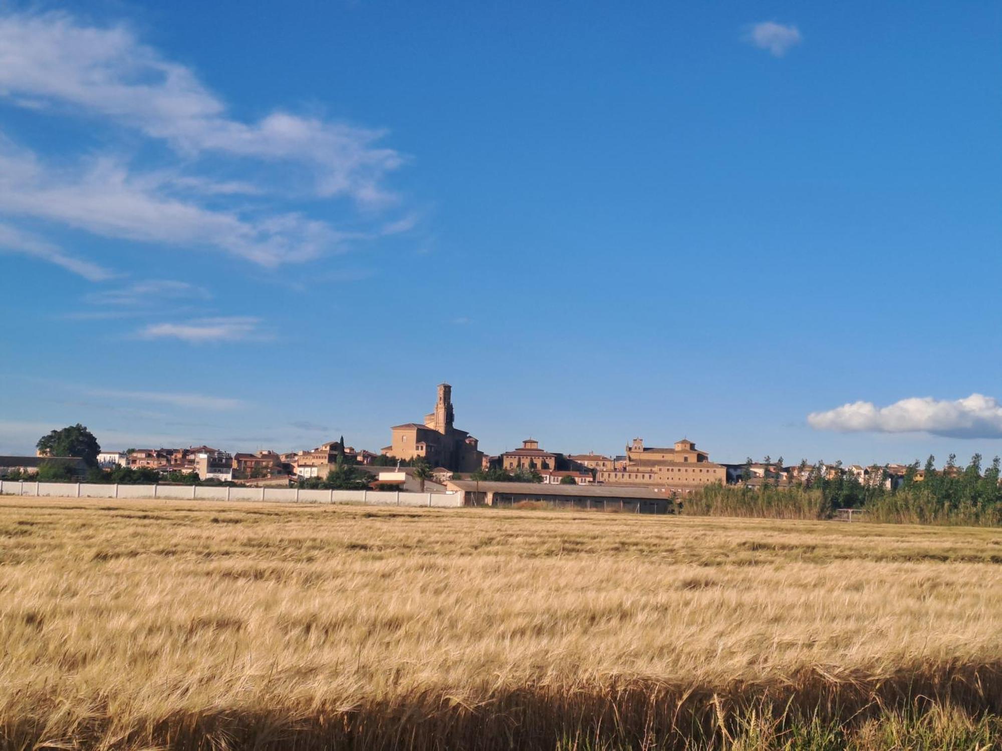 Apartamento Rural Isla Esencia De Bardenas Navarra Villafranca Eksteriør bilde